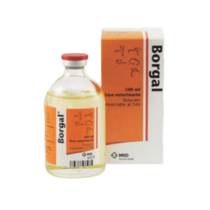 Borgal – Antibiótico Inyectable de Amplio Espectro con Sulfonamidas y Trimetoprim para Bovinos – MSD