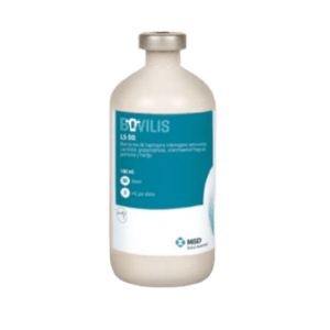 Bovilis L5 SQ – Vacuna Inactivada contra Leptospirosis en Bovinos – MSD Salud Animal