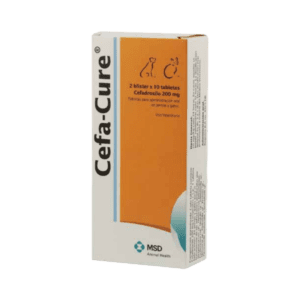 Cefa-Cure – Antibiótico Intramamario con Cefalexina para el Tratamiento de Mastitis en Bovinos – MSD