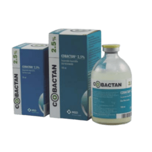 Cobactan 2.5% – Antibiótico Inyectable con Cefquinoma para Infecciones Bacterianas en Bovinos – MSD