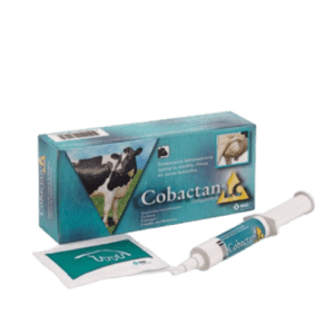 Cobactan LC – Antibiótico Intramamario con Cefquinoma para el Período de Lactancia – MSD Veterinaria