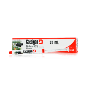 Coccigan D Solución