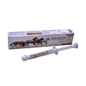 Equante – Modulador del Sistema Inmunológico para Perros y Gatos
