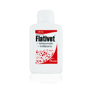 Flativet