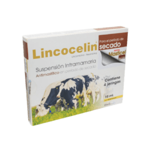Lincocelin Secado