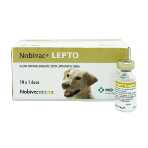 Nobivac Lepto – Vacuna Inactivada contra Leptospira Canicola e Icterohaemorrhagiae para Perros – MSD