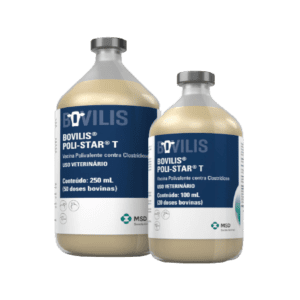 Bovilis Polistar – Vacuna Trivalente Inactivada para Bovinos contra Clostridiosis y Pasteurelosis – MSD Ganadería