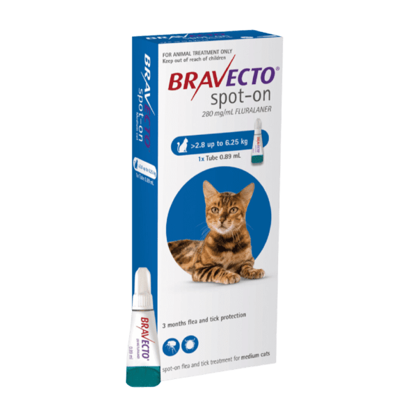 Bravecto Spot On Cat 250 mg – Antiparasitario Spot-On para Gatos 2.8–6.25 kg contra Pulgas y Garrapatas – MSD