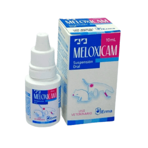 Meloxicam – Antiinflamatorio No Esteroideo (AINE) de Uso Veterinario