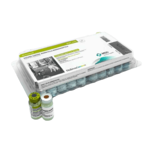 Nobivac Intratrac Oral BB – Vacuna Oral para Perros contra Bordetella bronchiseptica – MSD