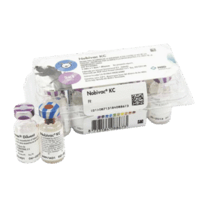 Nobivac KC – Vacuna Intranasal contra Bordetella bronchiseptica y Virus Parainfluenza Canino – MSD
