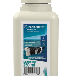 Panacur FT – Antiparasitario Oral de Amplio Espectro con Fenbendazol para Bovinos – MSD