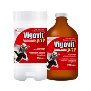 Vigovit ATP