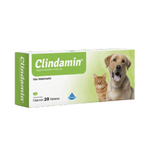 Clindamin – Caja con 20 Tabletas Antibiótico Veterinario para Perros y Gatos