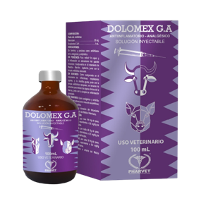 Dolomex Iny