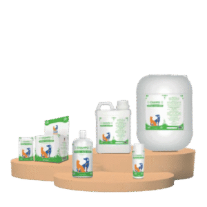Champu Aloe Vera