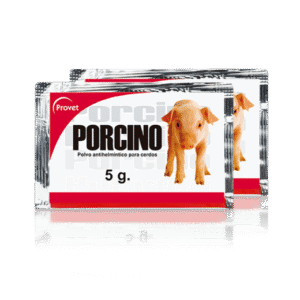 Porcino